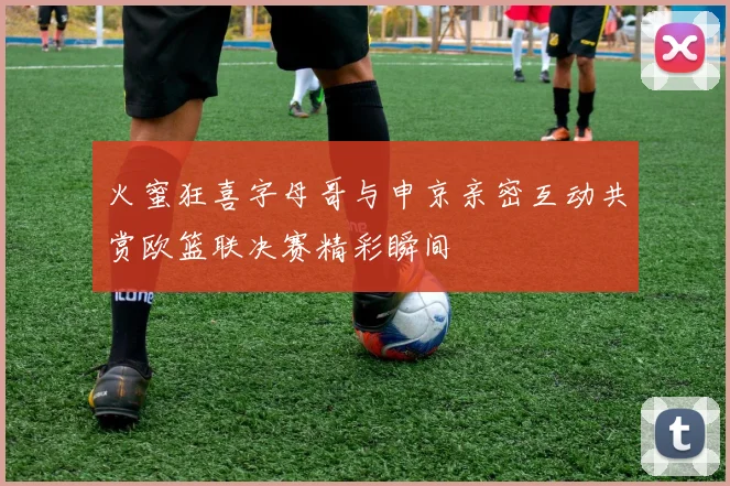 火蜜狂喜字母哥与申京亲密互动共赏欧篮联决赛精彩瞬间